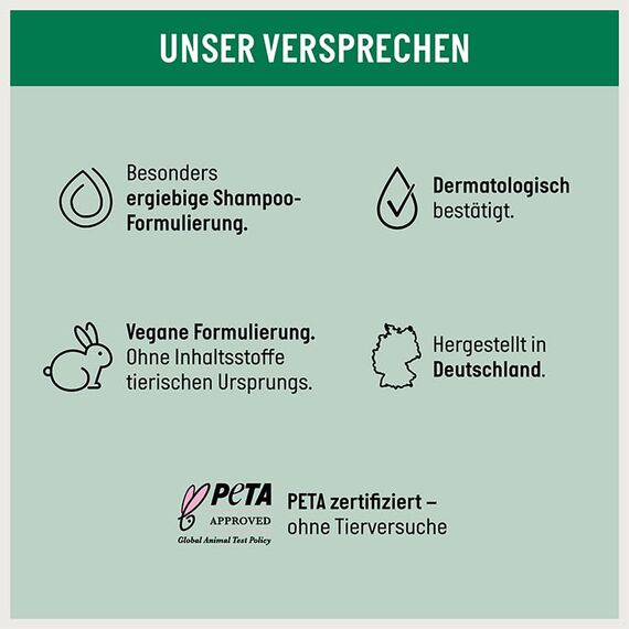 Guhl Anti-Schuppen Shampoo - Inhalt: 250 ml - Befreit effektiv von - Haartyp: juckende Kopfhaut - Dermatologisch bestätigt - für Damen und Herren (Packung mit 2)