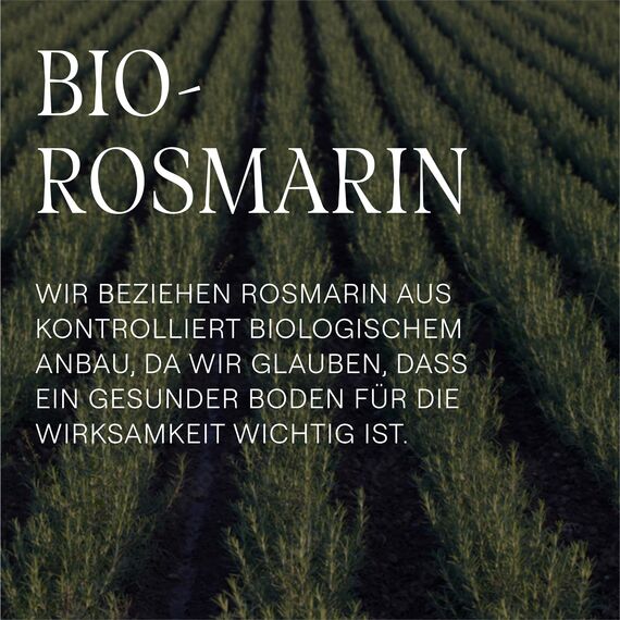 WELEDA Bio Rosmarin Revitalising Shampoo - Naturkosmetik Haarpflege Seife mit Hyaluronsäure & Rosmarinöl für mehr Volumen & eine gesunde Kopfhaut - Haarshampoo ohne Silikone & Sulfate (vegan, 250ml)