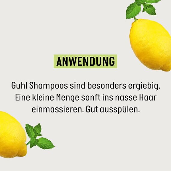 Guhl Frische & Leichtigkeit Anti-Fett Shampoo - Inhalt: 250 ml - Haartyp: fettig, normal (Packung mit 2)