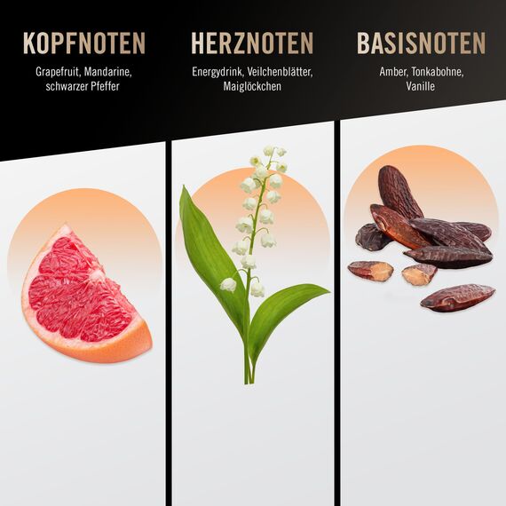 Bruno Banani Fragrance Absolute Man Deo-Bodyspray, Körperspray mit orientalisch-würzigem Herrenduft, 24h lang anhaltend, 150 ml (Packung mit 5)