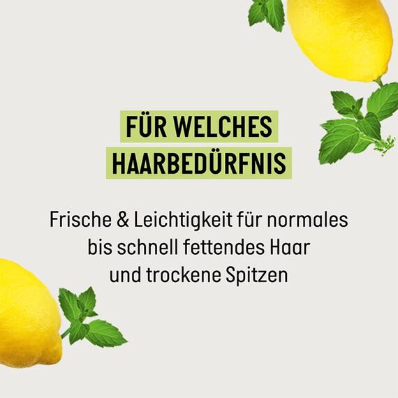 Guhl Frische & Leichtigkeit Spülung - Inhalt: 200 ml - Haartyp: fettig, normal (Packung mit 2)