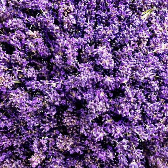 WELEDA Bio Relax XL Duschgel vegan - Naturkosmetik Aroma Dusche für Frauen & Männer mit Lavendel / Bergamotte Duft - Natürliche Hautpflege Duschseife zur Gesicht & Körper Reinigung (1x 400ml)