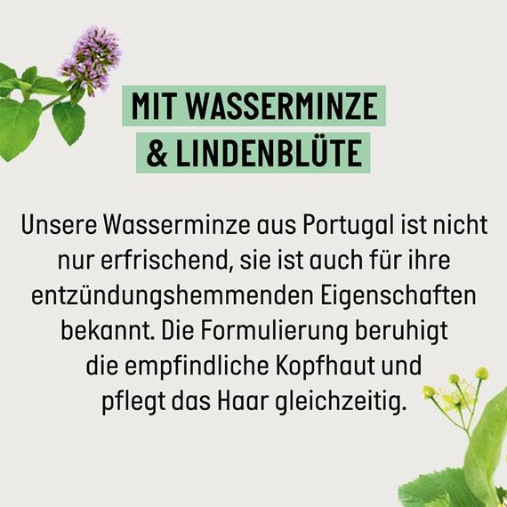 Guhl Kopfhaut Sensitiv Milde Spülung - Inhalt: 200 ml - Haartyp: sensible Kopfhaut, normal (Packung mit 2)