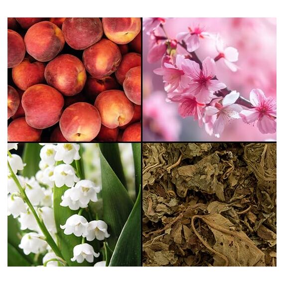 Tesori d'Oriente | Aromatisches Parfum Deodorant "Ikigai" | mit Kirschblüte und Reiswasser | 24h Schutz | Wellness-Ritual für Körper & Sinne | 150ml (Packung mit 2)