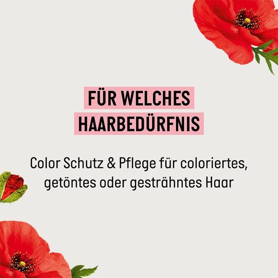 Guhl Color Schutz und Pflege Spülung - Inhalt: 200 ml - Haartyp: coloriert (Packung mit 2)