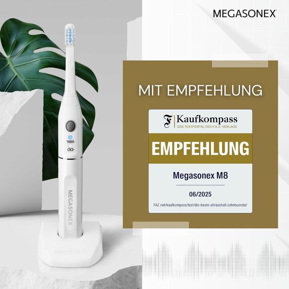 10x Megasonex Bürstenköpfe zick zack - medium