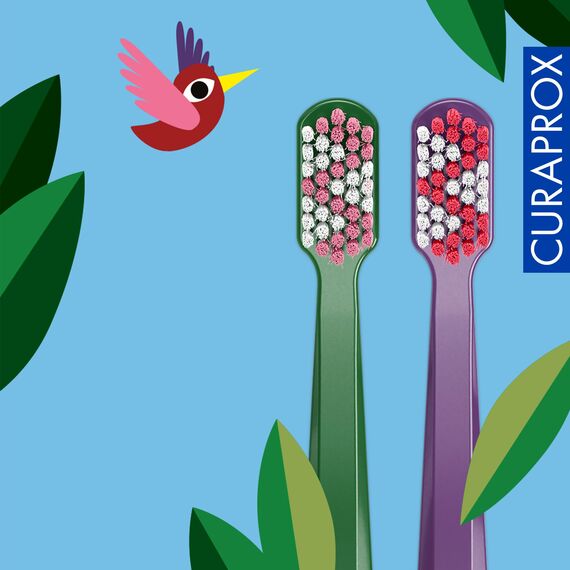 Curaprox CS 5460 Duo - Recycled Edition 2024 / Ultraweich für empfindliches Zahnfleisch und Zähne | 2er Pack | Grün-Lila/Hergestellt in der Schweiz