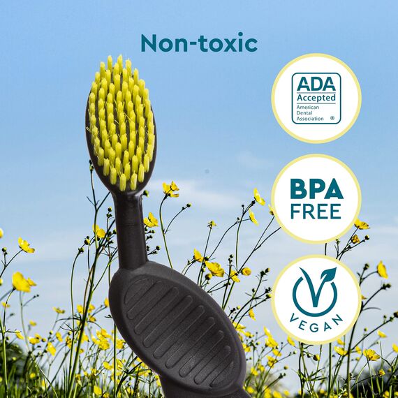 RADIUS Flexbürste für die rechte Hand, Schwarz/Weiß, 1 Stück, BPA-frei und ADA-akzeptiert, zur Verbesserung der Zahnfleischgesundheit und zur Verringerung des Risikos von Zahnfleischerkrankungen