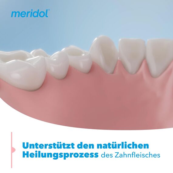 meridol Zahnpasta Parodont Expert 75 ml - Zahncreme wirkt antibakteriell und unterstützt so den natürlichen Heilungsprozess des Zahnfleisch (Packung mit 2)