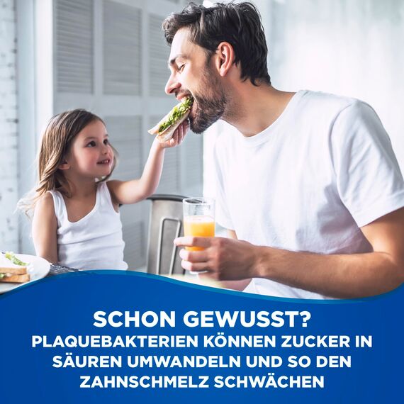Odol-med 3 Zahnpasta, Original, mit 3in1 Schutz für starke Zähne, gesundes Zahnfleisch** und frischen Atem, 125 ml zahncreme