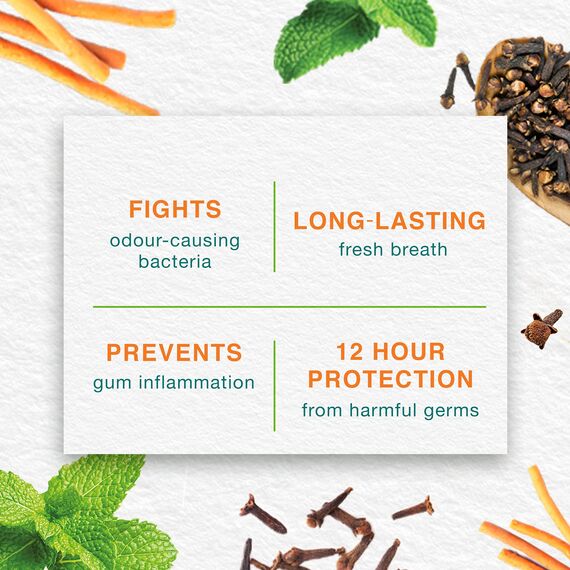 Himalaya Herbals Mint Fresh Herbal Toothpaste Gum Expert Range for Healthy, Protected Gums and Fresh Breath, 75 ml (Packung mit 4)