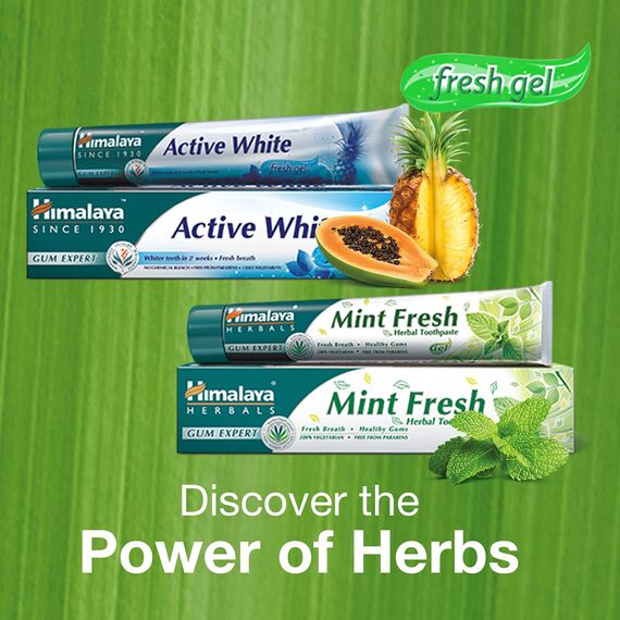 Himalaya Herbals Mint Fresh Herbal Toothpaste Gum Expert Range for Healthy, Protected Gums and Fresh Breath, 75 ml (Packung mit 4)