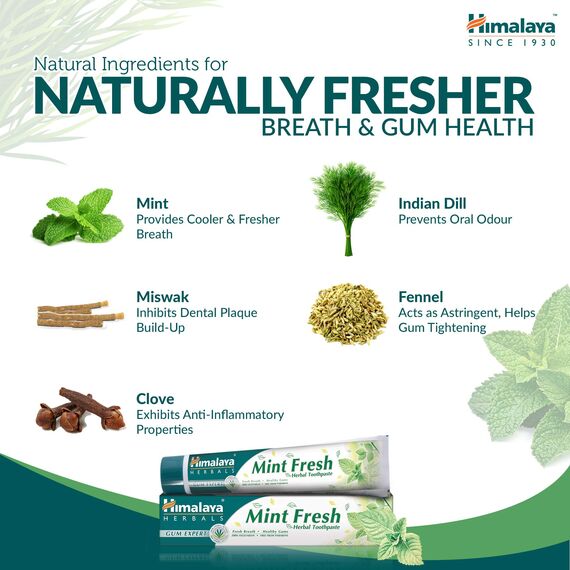 Himalaya Herbals Mint Fresh Herbal Toothpaste Gum Expert Range for Healthy, Protected Gums and Fresh Breath, 75 ml (Packung mit 3)