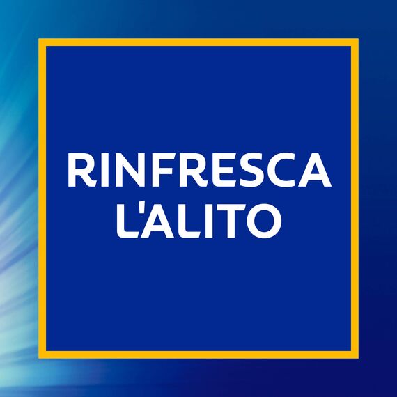Colgate Zahnpasta Kariesschutz mit Kalzium und aktivem Fluor, 12 Packungen mit 75 ml, stärkt die Zähne, erfrischt den Atem mit dem frischen Geschmack der Minze