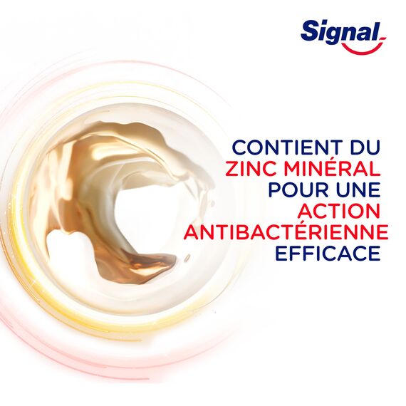 SIGNAL - Integral 8 Nature Elements Coco Zahnpasta – weißere Zähne – Mineralzink – 96% Inhaltsstoffe natürlichen Ursprungs (6 x 75 ml)