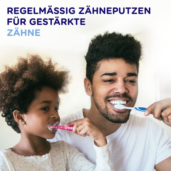 Signal Zahnpasta Sport Gel Fresh mit Rundumschutz Zahnpflege für extra frischen Atem 75 ml 12 Stück
