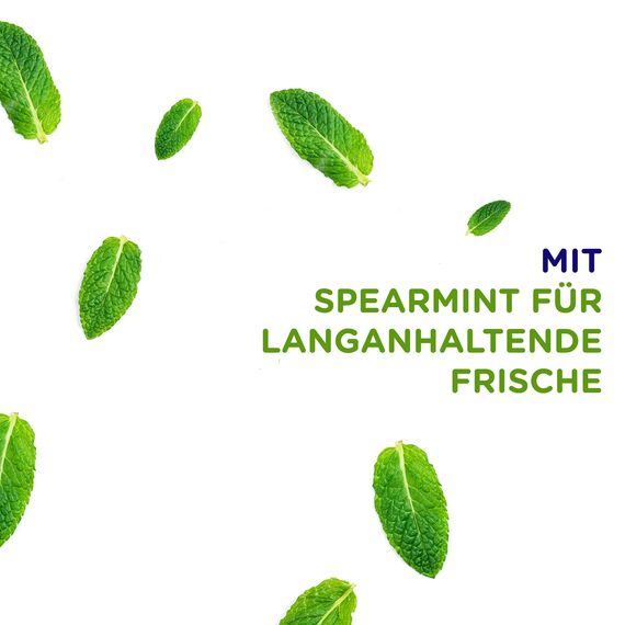 Signal Zahnpasta Cool Spearmint Zahnpflege mit Rundumschutz 75 ml 1 Stück