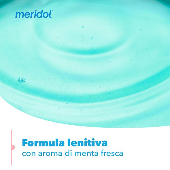 Meridol Antibakterielles Mundwasser, 400 ml, beruhigt gereiztes Zahnfleisch, schützt den Zahnschmelz, bekämpft Plaque-Bakterien, verhindert Zahnfleischbluten, 0% Alkohol