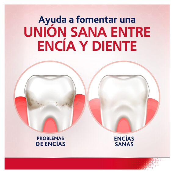 Parodontax Herbal Daily Gum Care 500ml371325