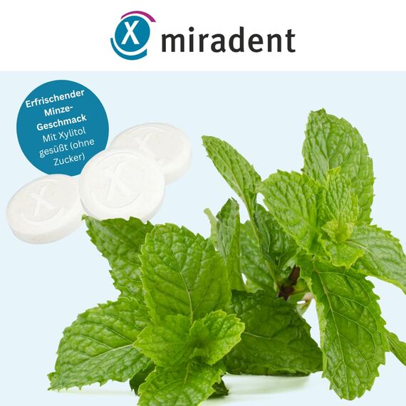 miradent Xylitol Drops Minze 60g Dose | Zahnpflege Lutschbonbons | zuckerfrei | erfrischender Geschmack | kariespräventiv | vegan | glutenfrei