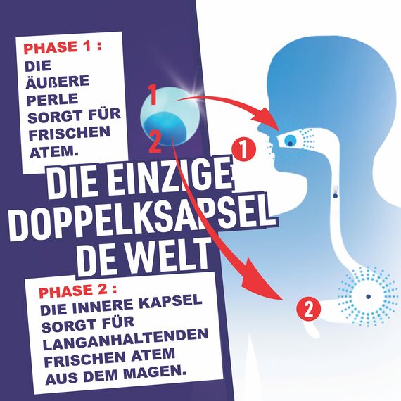 PaperMints One Sugarfree Cool Caps Mint One Lot de 24 paquets de 40 perles fraîches au goût menthe