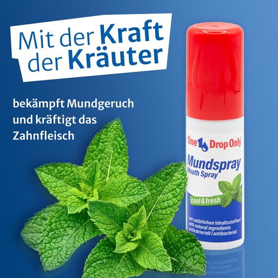 One Drop Only antibakterielles Mundspray gegen Mundgeruch mit natürlichen Inhaltsstoffen für eine effektive Mundhygiene, frischer Atem Spray, mouth spray fresh (1 x 15 ml)