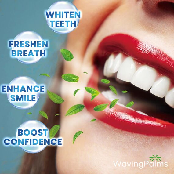 Zahnaufhellung Bleaching Teeth Whitening Strips (42 count (Pack of 1), Milde Minze)