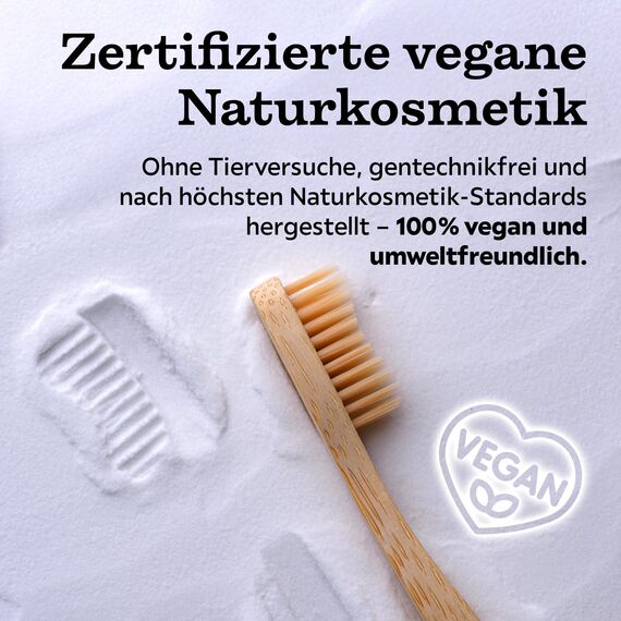Birkengold Zahnpulver Minze 100 g Nachfüllbeutel | Natürliches Zahnputzpulver mit Xylit ohne Fluorid | Veganes Zahnreinigungspulver für Kariesprophylaxe & Zahnschmelzschutz | Plastikfrei & Nachhaltig