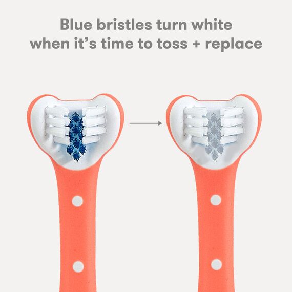 FridaBaby Dreifach-Winkel-Zahnbürste, Trainingszahnbürste für Kleinkinder, Mundpflege, 2 Stück