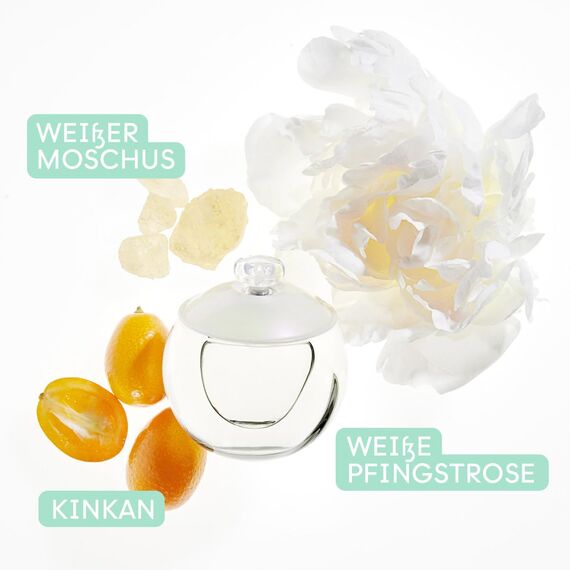 Cacharel Noa Eau de Toilette für Damen, blumig-holziger Duft, elegantes Damenparfüm, 50 ml