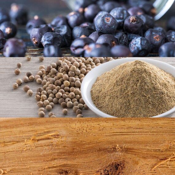 Calvin Klein CK Be Eau de Toilette