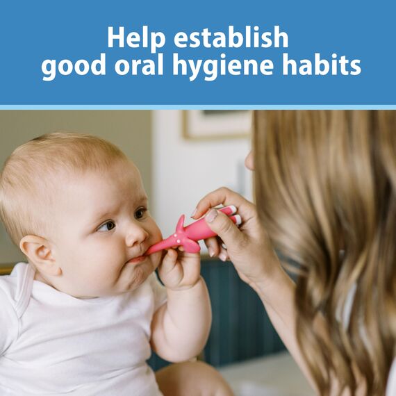 Dr. Brown's Zahnbürsten-Set, 40 ml, Rosa