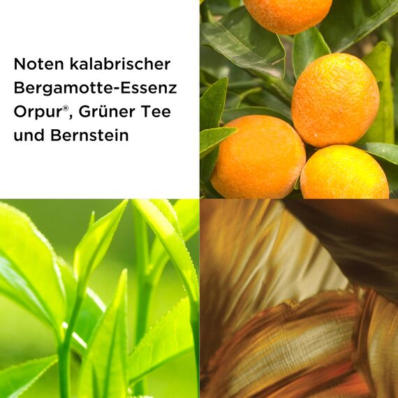 Elizabeth Arden - Green Tea, Geschenkset für Damen: Green Tea Duft 100 ml + Körpercreme Honey Drops 100 ml, Geschenkbox für Damen