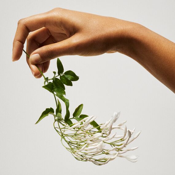 Tommy Girl 100ml EDT Spray