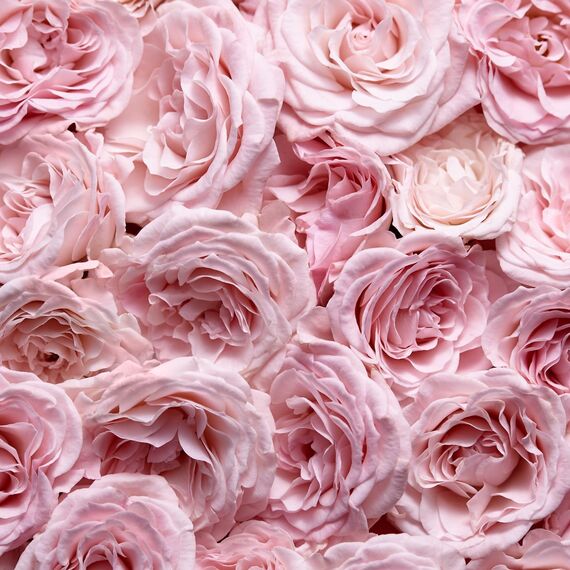 ESCADA Especially Eau de Parfum, frisch-blumiger Damenduft für glamouröse Frauen, 75ml