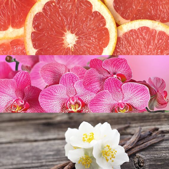 CALVIN KLEIN ck IN2U Eau de Toilette for her, floral-fruchtiger Damenduft, 50 ml (1er Pack)