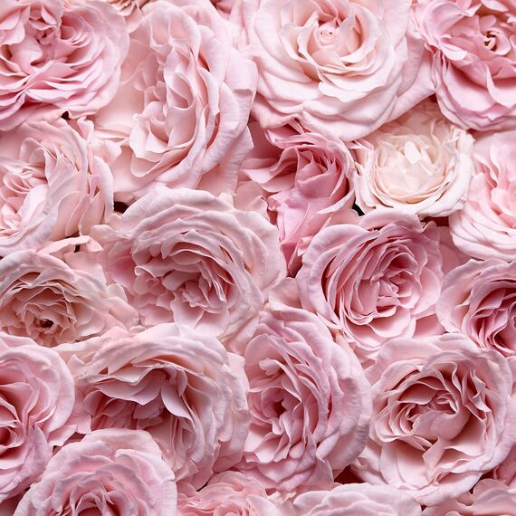 ESCADA Especially Eau de Parfum, frisch-blumiger Damenduft für glamouröse Frauen, 50ml