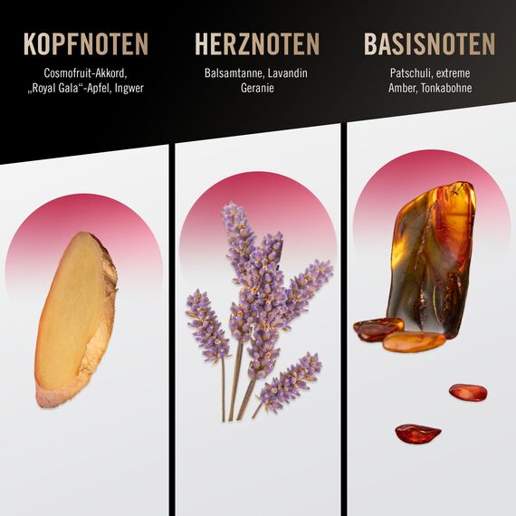 bruno banani Loyal Man, Eau de Parfum, Aromatisches Herren Parfum, Extra langanhaltender Duft, 1 x 30ml