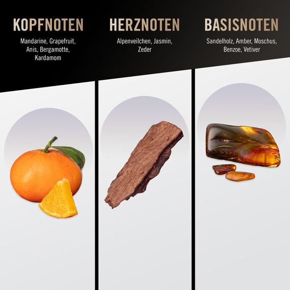 bruno banani Pure Man – Eau de Toilette Natural Spray – Holzig-blumiges Herren Parfüm – 1er Pack (1 x 30ml)