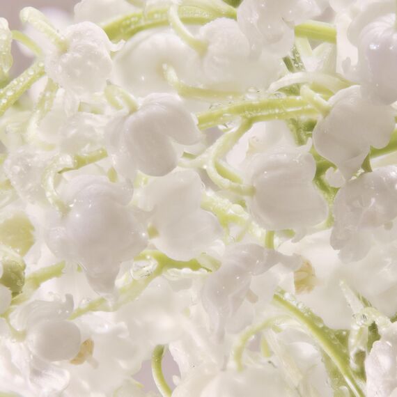 DAVIDOFF Cool Water Man Eau de Toilette, aromatisch-frischer Herrenduft, 75ml (1er Pack)