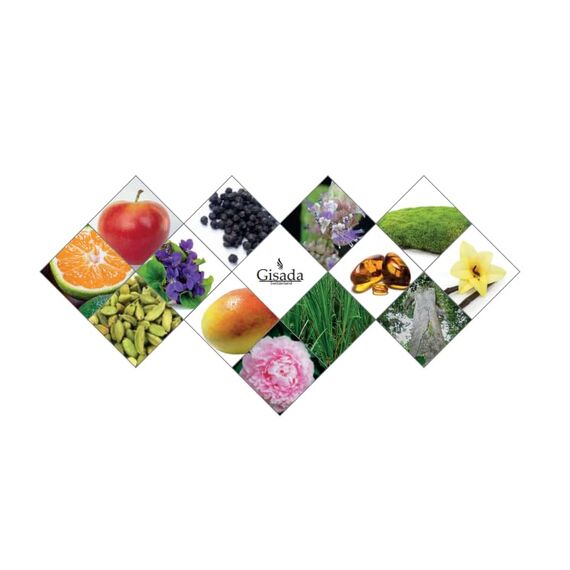 Gisada - Ambassador Men | Eau De Parfum | 100ml | männer parfüm | Frisch, Kraftvoll Und Langanhaltender Duft | Herren Parfüm | Zitrus, Blumige, Warme Und Holzige Noten | Parfüm Herren | Herrenduft