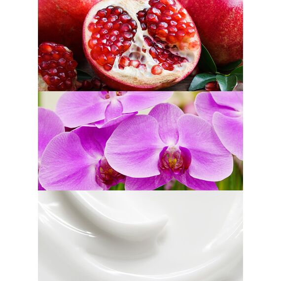 CALVIN KLEIN Euphoria Eau de Parfum for her, orientalisch-blumiger Damenduft, 100ml