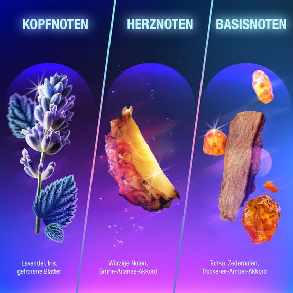 bruno banani bb Energy Eau de Parfum für Ihn, holziger, maskuliner Fougère-Duft, der Selbstvertrauen weckt, vegane Formel, 50 ml