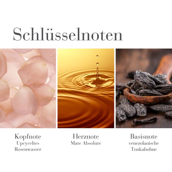 Elizabeth Arden - White Tea, Eau de Parfum, Parfüm mit weißem Tee und einem Meeresbrise-Akkord, blumiger Duft, frisches, weibliches und süßes Aroma, Parfüm für Frauen, 50 ml