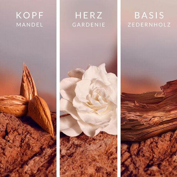 LeGer Signature Eau de Parfum, sinnlich-femininer Duft für Frauen mit Mandel, Zedernholz und Moschus