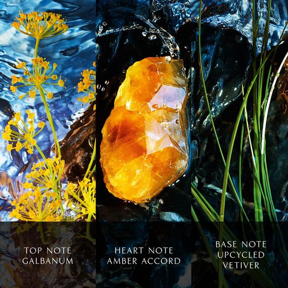 Davidoff Cool Water Reborn Eau de Parfum Intense for Men