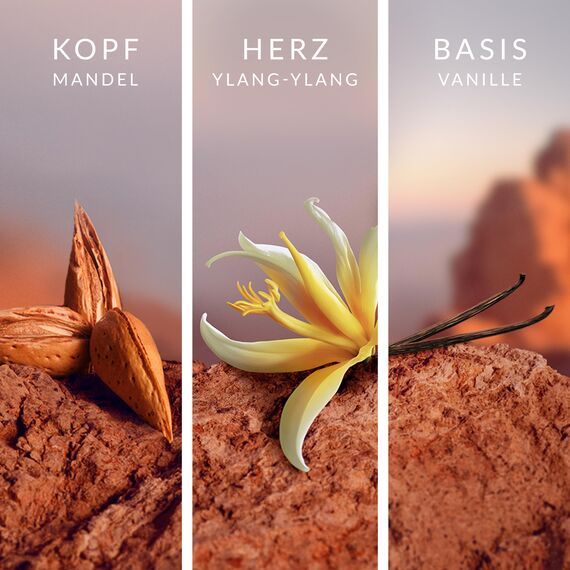 LeGer Signature Wildflower Eau de Parfum für Sie, auffälliger, raffiniert-femininer Amber-Duft mit Pfirsich, Ylang Ylang & Vanille, 50ml