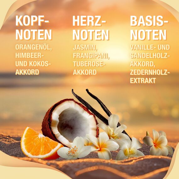 bruno banani, Sunset Blossom Eau de Toilette für Frauen, sinnlich-feminines Parfum mit strahlend-floralem Duft, langanhaltend, 50 ml