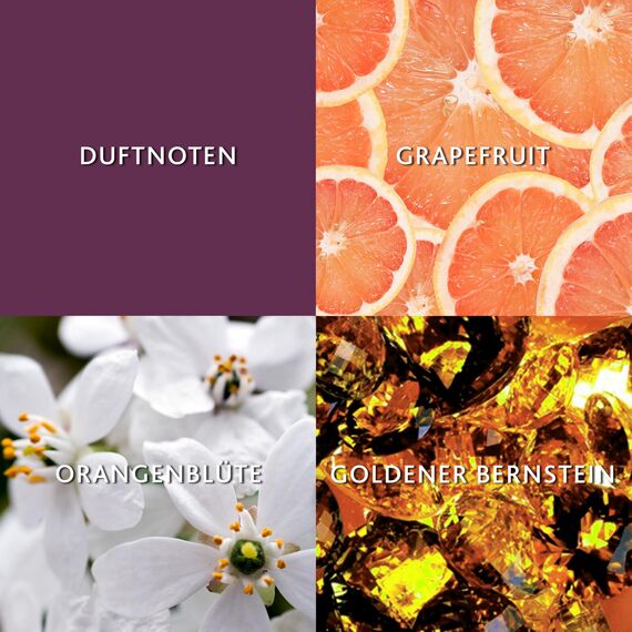 Christina Aguilera - Violet Noir Eau de Parfum, Duft mit blumigen und fruchtigen Noten, Parfüm für Damen - 30 ml