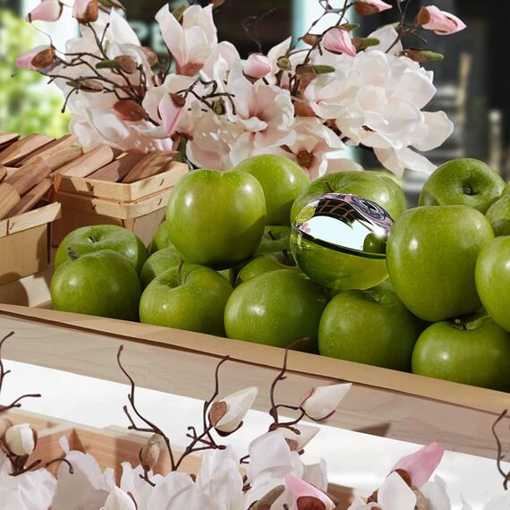 DKNY New York Be Delicious femme/woman, Eau de Parfum Vaporisateur, 1er Pack (1 x 100 ml)